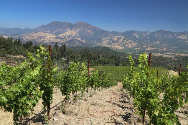 The Vineyardist - The Napa Wine Project