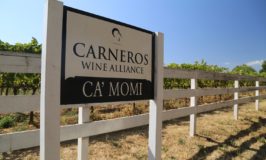 Ca’ Momi Winery