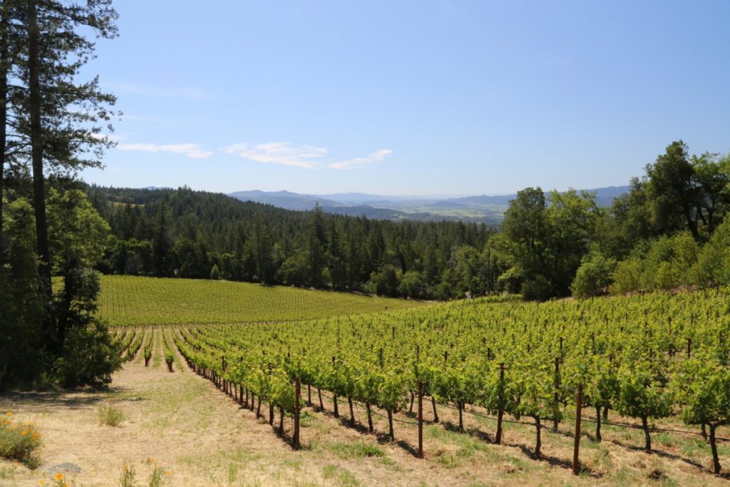 CADE Estate Winery - The Napa Wine Project