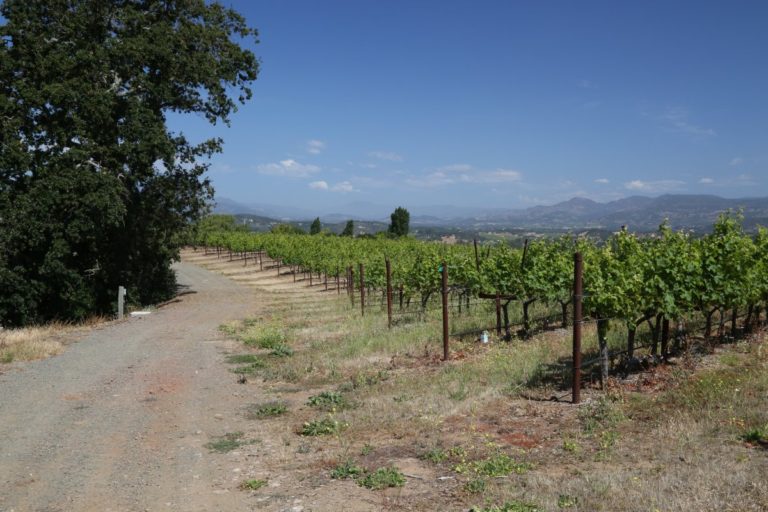 Caldwell Vineyard - The Napa Wine Project