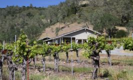 g Cook Family Winery