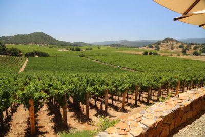 Gargiulo Vineyards