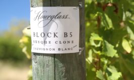 Hourglass Wine