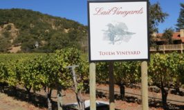 Lail Vineyards