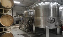 Mi Sueño Winery