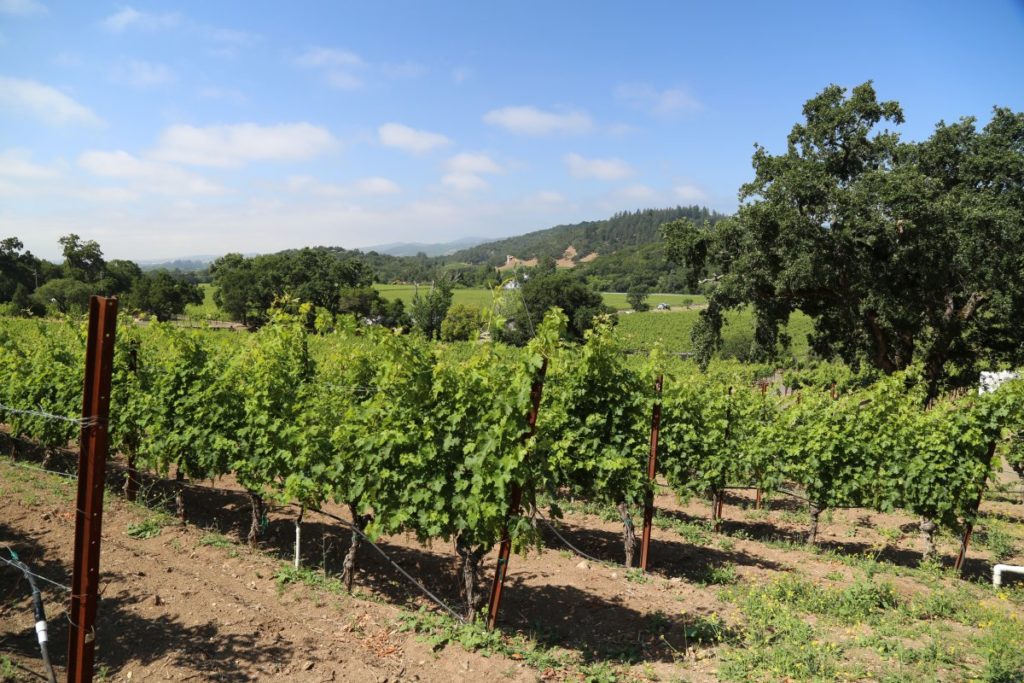 Robinson Family Vineyards - The Napa Wine Project