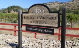 Tom Scott Vineyard