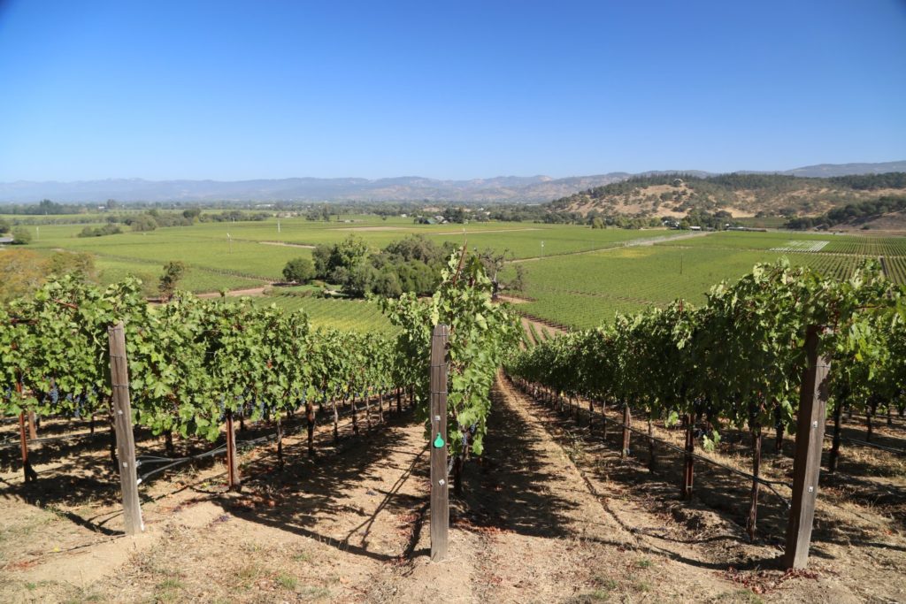 Vine Hill Ranch - The Napa Wine Project