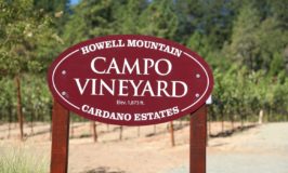 Cardano Estate Wines